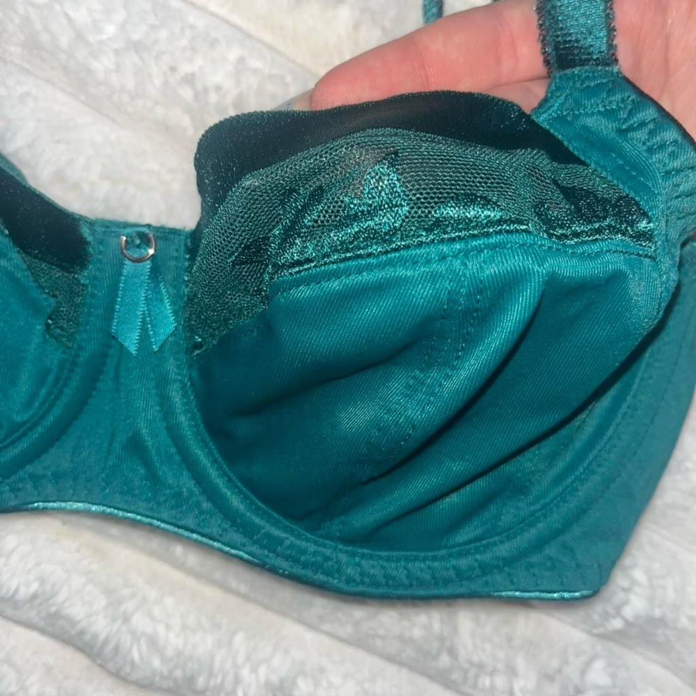 Chic Teal Underwire Bra